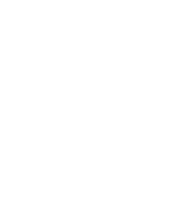 Michigan State Dance Team Events